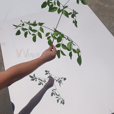 BA Bitmiş Süper Ayna Paslanmaz Çelik Sac SUS 430 Soğuk Haddelenmiş 1500mm
